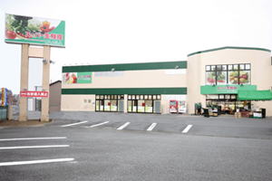 スーパー生鮮館TAIGA　海老名下今泉店